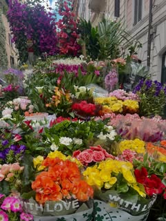 May be an image of flower pot, flower and text