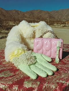 May be an image of fur coat, purse and text