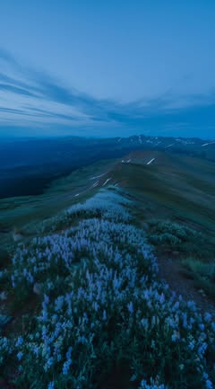 No photo description available.