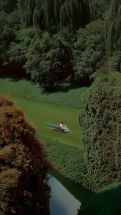 The art of being alone 🌳