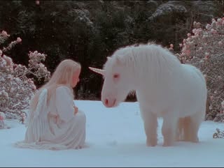 No photo description available.