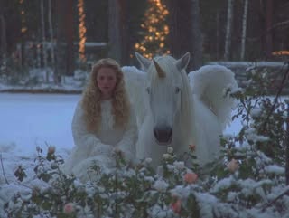 No photo description available.