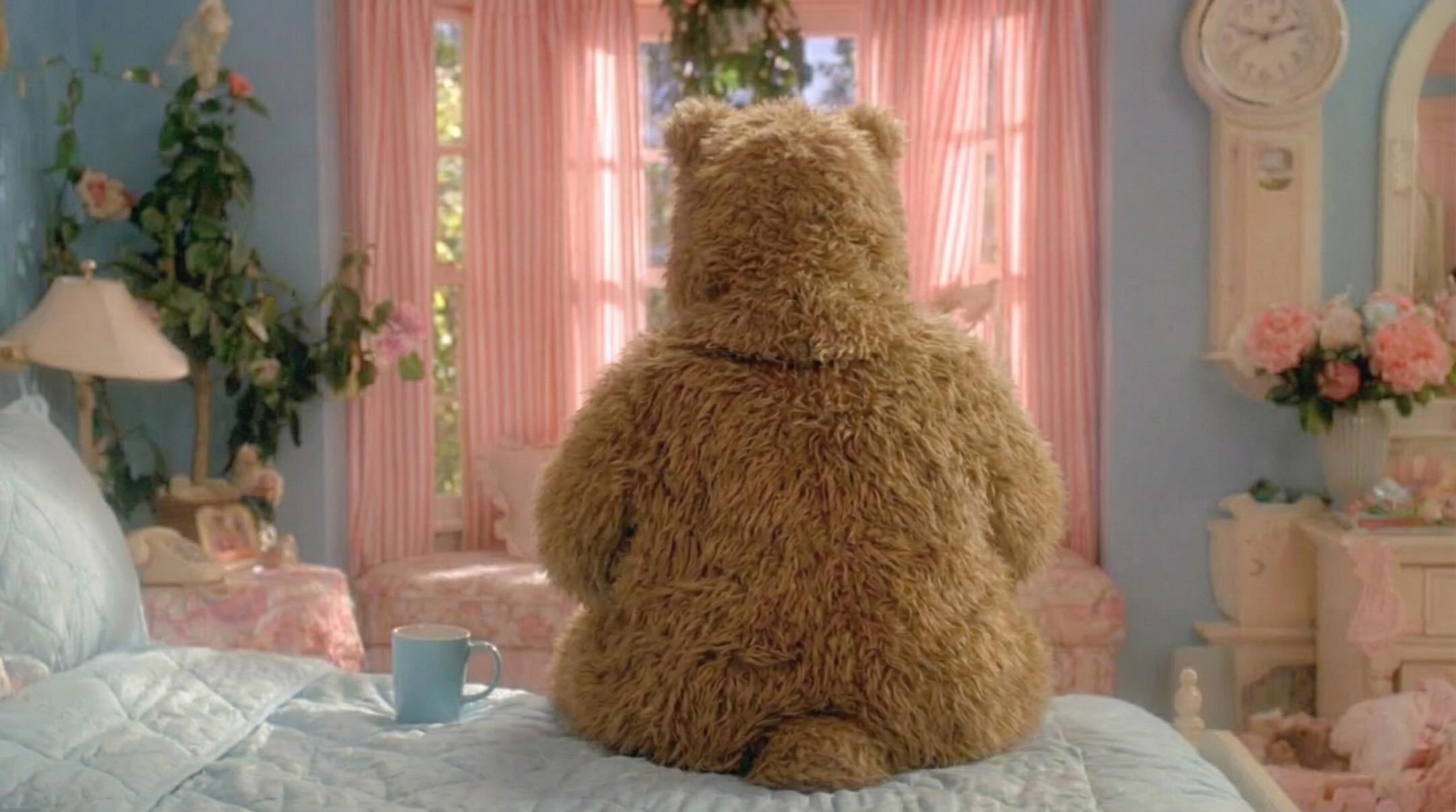 May be an image of bear and text