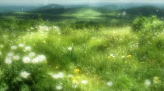 May be an image of nature, grass and text