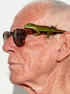 May be an image of lizard, chameleon and text